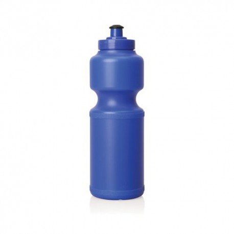 Sports Bottle w/Screw Top Lid - 750mL